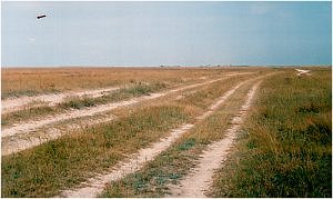 Дорога по Арабатке большей частью состоит из паралельных колей